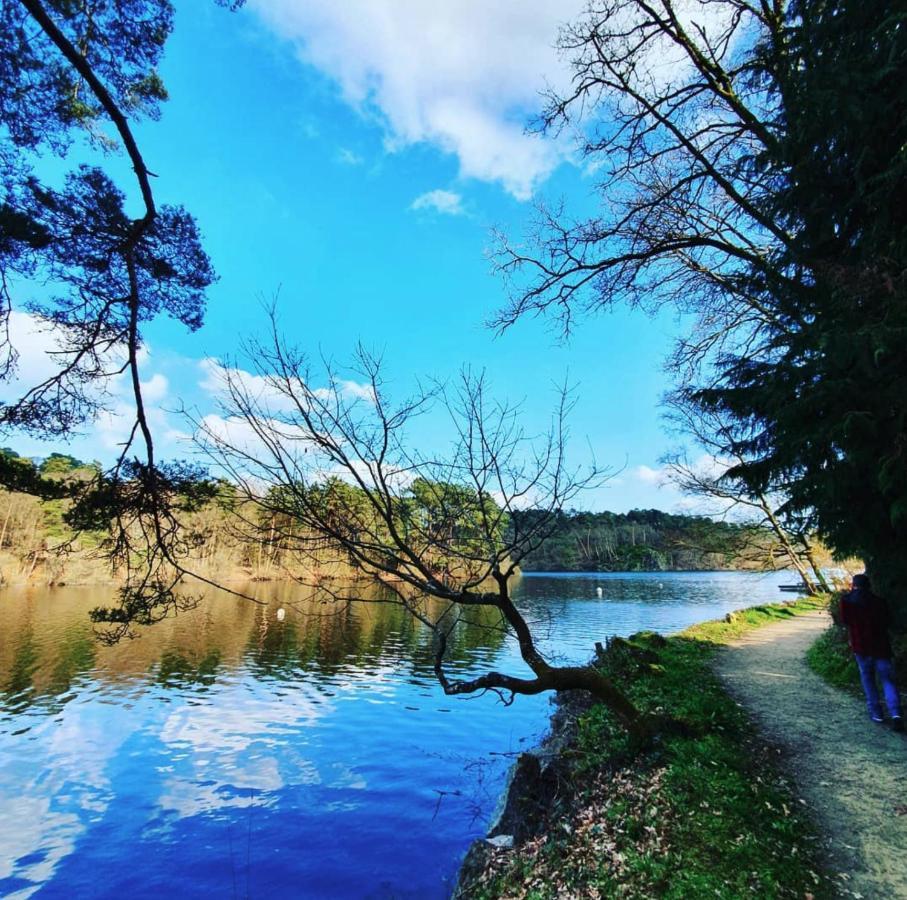 O Faya Cottage Votre Gite Calme Et Verdoyant En Bretagne Saint-Mayeux 외부 사진